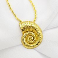 CXA131942 OLS-CARACOL